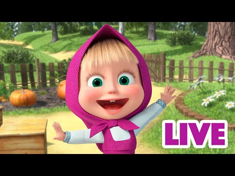 🔴 AO VIVO 👱♀️🐻 Masha e o Urso🚶🙌 Passo a passo 🙌🚶 Masha and the Bear