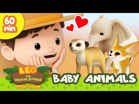 🍼 BABY Animals! 🍼 Sloth, Fennec Fox &amp; More | Leo the Wildlife Ranger | Learn Animals | Kids Cartoons