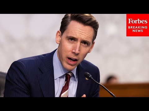 'Wait A Minute, Wait A Minute': Josh Hawley Counters CEO's Claim On AI