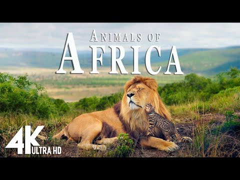 Wild Animals (4K UHD) - Relaxing Music Along With Beautiful Wildlife Videos - 4K Video Ultra HD