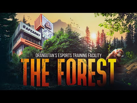 THE FOREST | ORANGUTAN&rsquo;S ESPORTS TRAINING FACILITY | SOUTH ASIA&rsquo;S FINEST BOOTCAMP