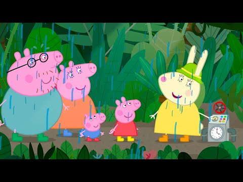 The Very Rainy Rainforest ☔️ | Peppa Pig Official Full Episodes