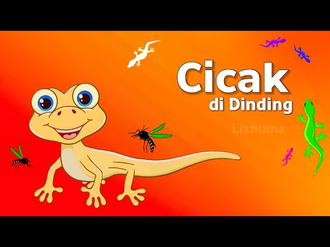 Lagu Anak anak | CICAK CICAK DI DINDING | Cicak di dinding kartun | lagu cicak cicak di dinding