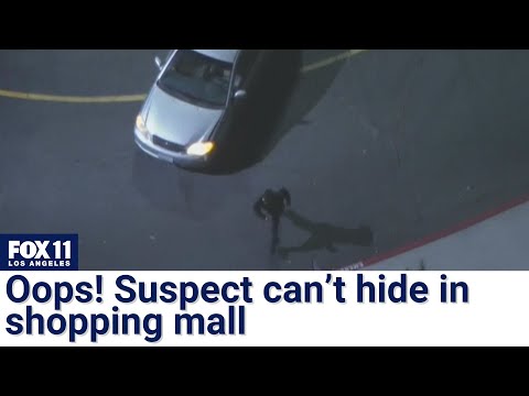 Man tries to blend in at a mall &ndash; and fails