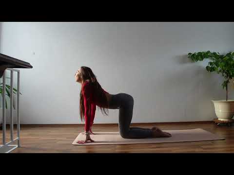 YOGA STRETCHING HOME WORKOUT 5