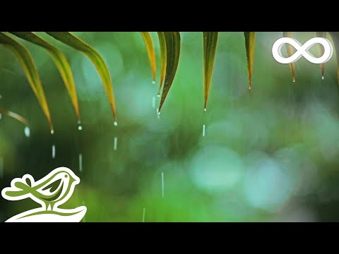 You &amp; Me: Relaxing Piano Music &amp; Soft Rain Sounds For Sleep &amp; Relaxation