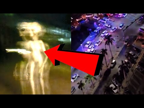 BREAKING NEWS! Miami Creature NEW Footage Just IN! POLICE COME Forward! 2024