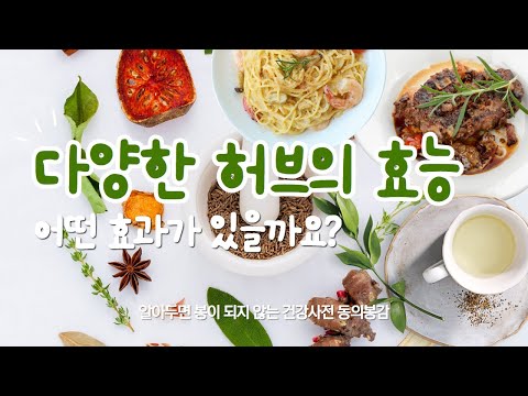 허브 종류별 효능과 맛있는 요리 레시피 알려드릴게요