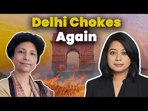 Why can't Delhi fix its air? | Anumita Roychowdhury | Faye D'Souza