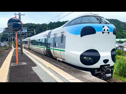 This is an Everyday Scene in Japan: Panda Express Train Running in a Big City