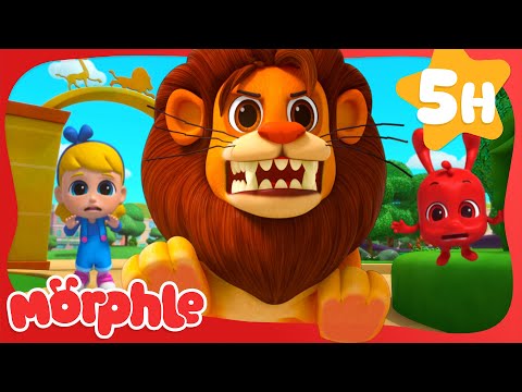 Morphle is Only Brave When He Has to Be! 🦁 | Morphle's Family | My Magic Pet Morphle