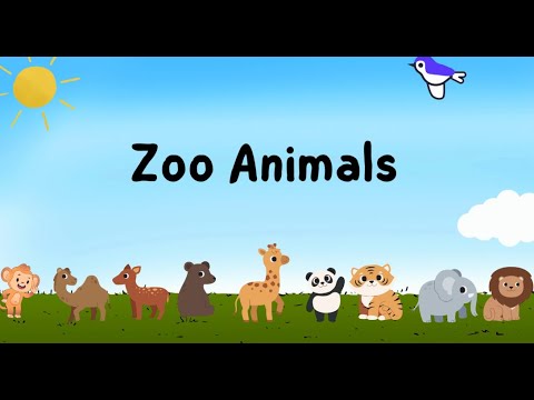 Learn Zoo Animals Learn with cartoon