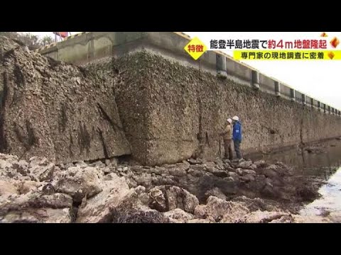 1分間で約4m隆起か&hellip;能登半島地震での地殻変動量を大学准教授が調査 港の復興「東日本の時以上に大変」 (2024/01/16 