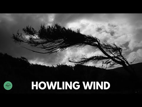 10 HR | HOWLING WIND sounds for sleeping &amp; relaxation | Dark Screen | Black Screen