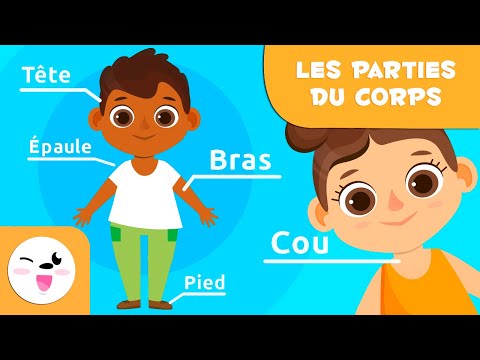 Les parties du corps humain pour les enfants | Vid&eacute;os &eacute;ducatives pour les enfants