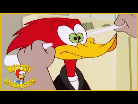 Woody Woodpecker Show | This Seat's Taken | 1 Hour Compilation | Cartoons For Children