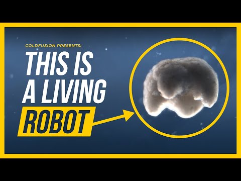 Scientists Create the FIRST Living Robot!