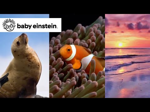 Baby Shakespeare | Baby Einstein Classics | Learning Show for Toddlers | Kids Cartoons