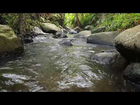 Relaxing Water Flowing Sound for Sleeping &amp; Meditation - Forest River Nature