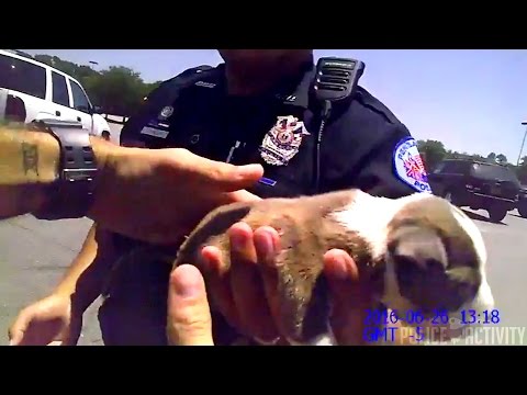 Bodycam Shows Police Rescue Tiny Puppy Locked In Hot Car