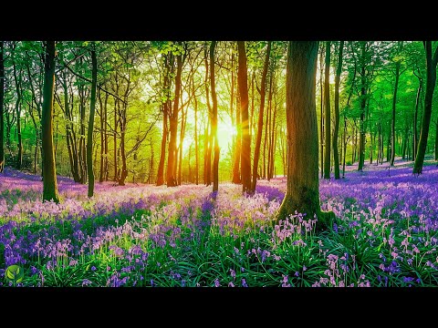 Beautiful Relaxing Music - Stop Overthinking, Stress Relief Music, Sleep Music, Calming Music 