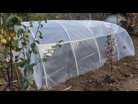 cheap greenhouse construction, pvc and pprc pipe greenhouse construction