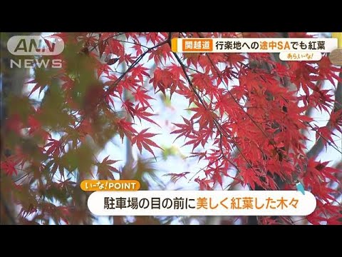 高速SAで楽しむ紅葉＆グルメ&amp;hellip;足湯も！　秋の行楽シーズンおすすめ【あらいーな】(2023年11月23日)