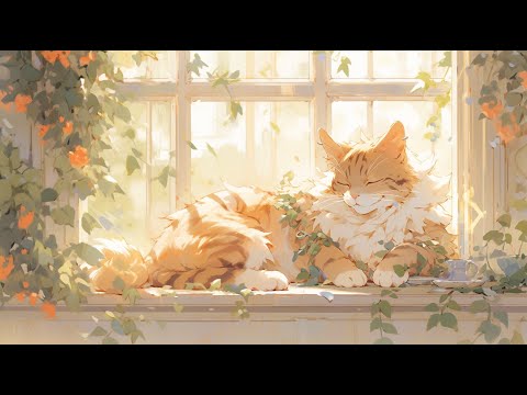 Lofi With My Cat || Cat &amp; Wonderful Day😽❣️☀️ Work/Relax/Healing  [ Lofi Mix - Lofi Songs ]