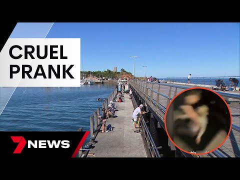 The hunt for thugs accused of a cruel pier prank on an elderly man | 7 News Australia