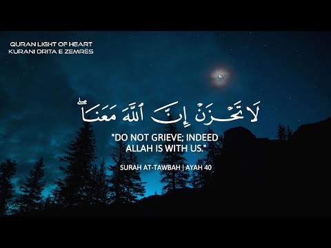 ساعة كاملة?? | تلاوة هادئة بصوت القارئ عبدالرحمن مسعد | Beautiful Quran Recitation Abdulrhman Mosad