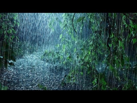 Heavy Rain sounds during the day to sleep, Relax, Study, Soul Healing, relax mind