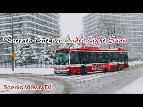 Toronto Ontario Under Light Snow