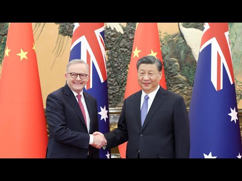 &amp;lsquo;Very dangerous position&amp;rsquo;: China knows Albanese &amp;lsquo;won&amp;rsquo;t push back&amp;rsquo;