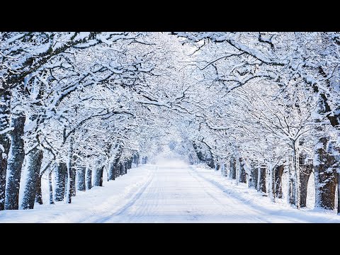 Beautiful Relaxing Music - Stop Overthinking, Stress Relief Music, Sleep Music, Calming Music #14