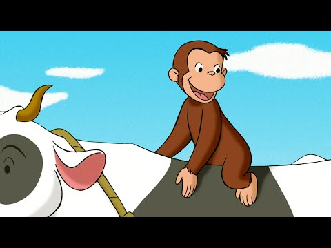 Aufregung am Bauernhof | Coco der Neugierige | Cartoons f&uuml;r Kinder