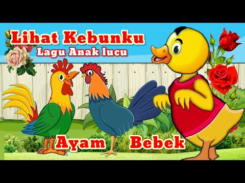 Lagu Anak lucu ❤️ Lihat Kebunku | bebek lucu Dan Animasi Ayam monyet Dan babi lucu