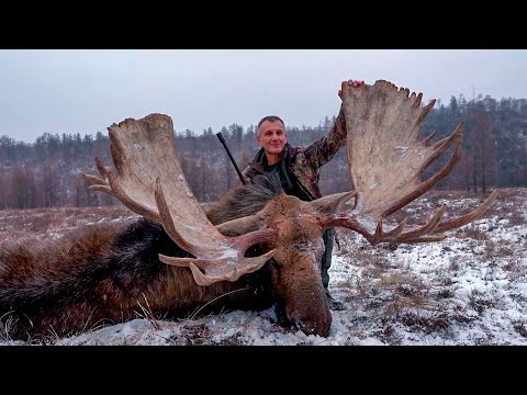 You've NEVER seen anything like this! 14 MOOSE, RAMS,  3 BEARS!! Kamchatka and Serbian hunters!