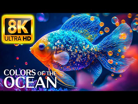 Colors of the ocean 8k ultra hd - The Best Sea Animals for Relaxing and Soothing Music #2