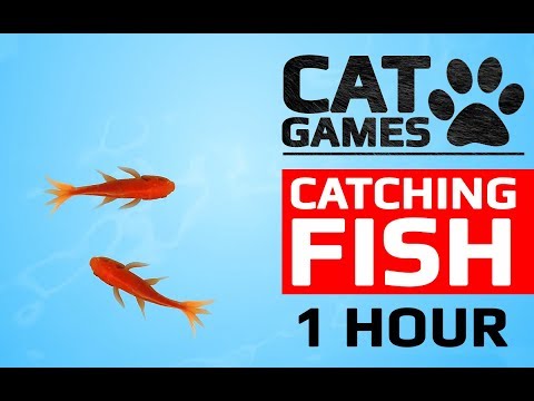 CAT GAMES - 🐟 CATCHING FISH 1 HOUR VERSION (VIDEOS FOR CATS TO WATCH)