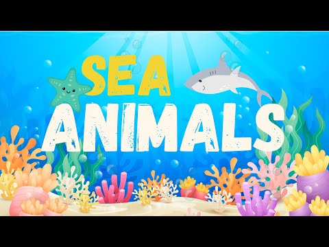 SEA ANIMALS VOCABULARY - Learn English for kids