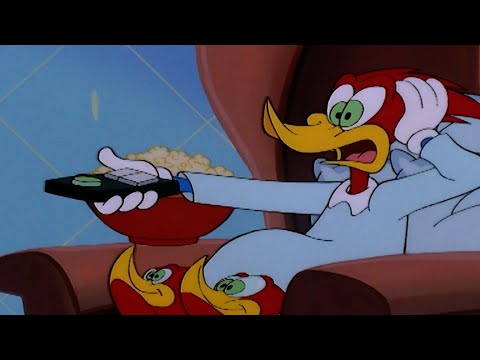 Cozy night in with Woody and Wally | Woody Woodpecker