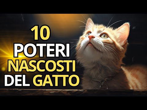 10 POTERI NASCOSTI DEI GATTI 😺