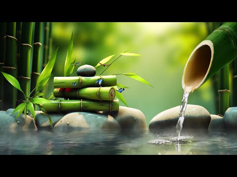 Relaxing Zen Music 24/7 - Bamboo, Relaxing Music, Meditation Music, Peaceful Music, Nature Sounds