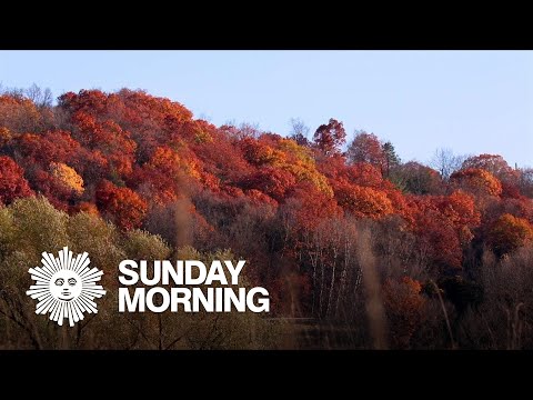 Nature: Fall colors in New York