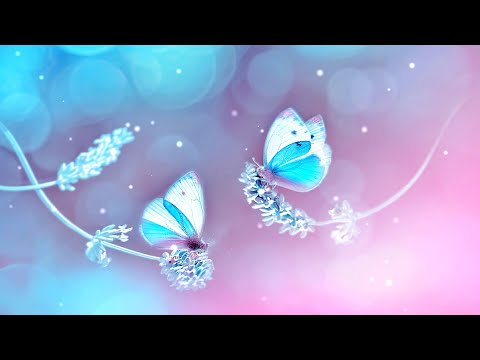 3 Hours Relaxing Morning Music for Winter 🎵 Meditation Music, Yoga, Healing (Snow) 