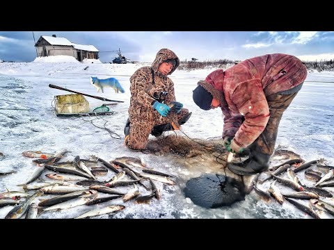 БЕЗ ЕДЫ, ВОДЫ, СВЕТА И ТУАЛЕТА! ОТШЕЛЬНИК-15 ЛЕТ ОДИНОЧЕСТВА! СЕКРЕТНЫЕ ОЗЁРА ТУНДРЫ!