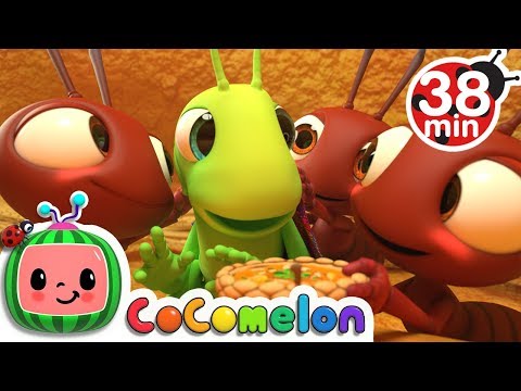 The Ant and the Grasshopper + More Nursery Rhymes &amp; Kids Songs - CoComelon