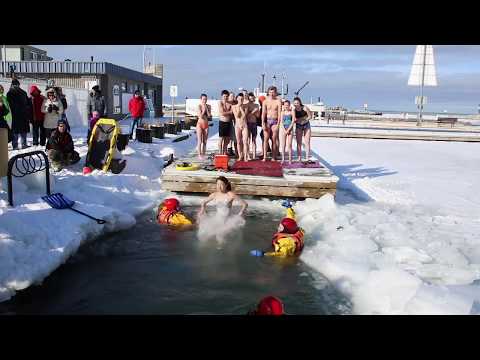 Polar Bear Dip 2020