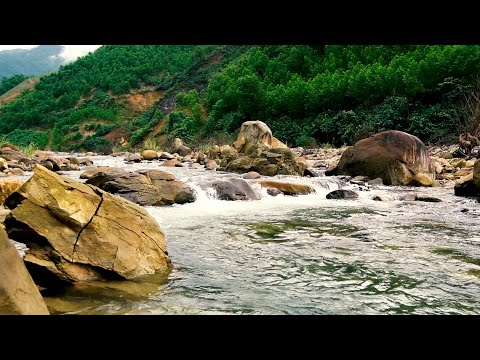 Relaxing Music With Natural Sounds Of Flowing Streams And Birds Singing