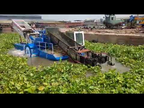 Water hyacinth harvester boat with chopper for cutting hyacinth into small piece and de-water